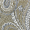 Hosenträger Paisley Partito verde marrone