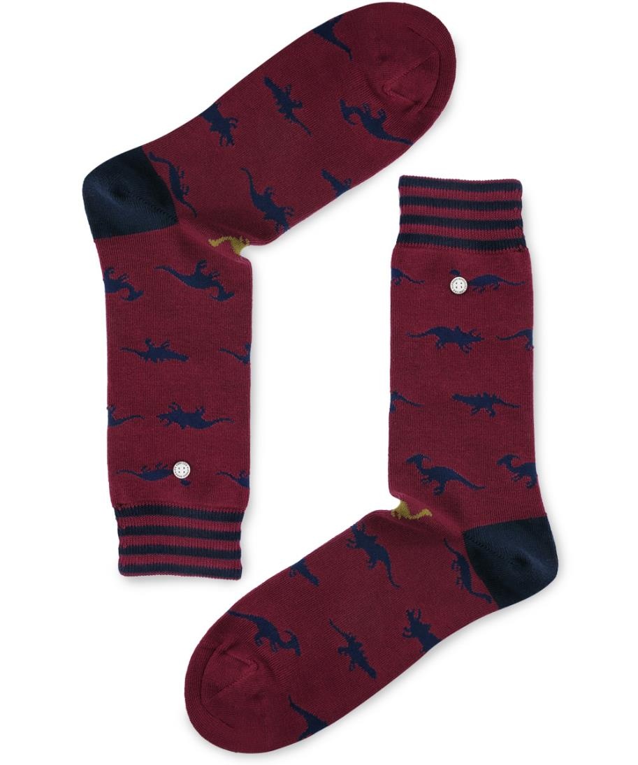 socks Dinosaurs - 1