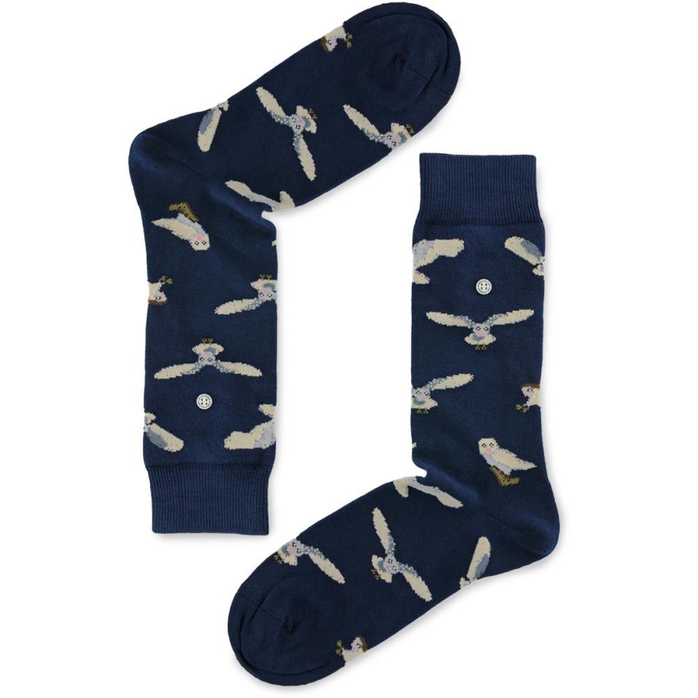 socks Owls - 1