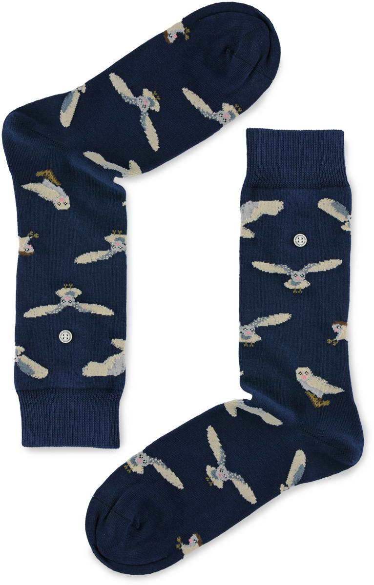 socks Owls - 1