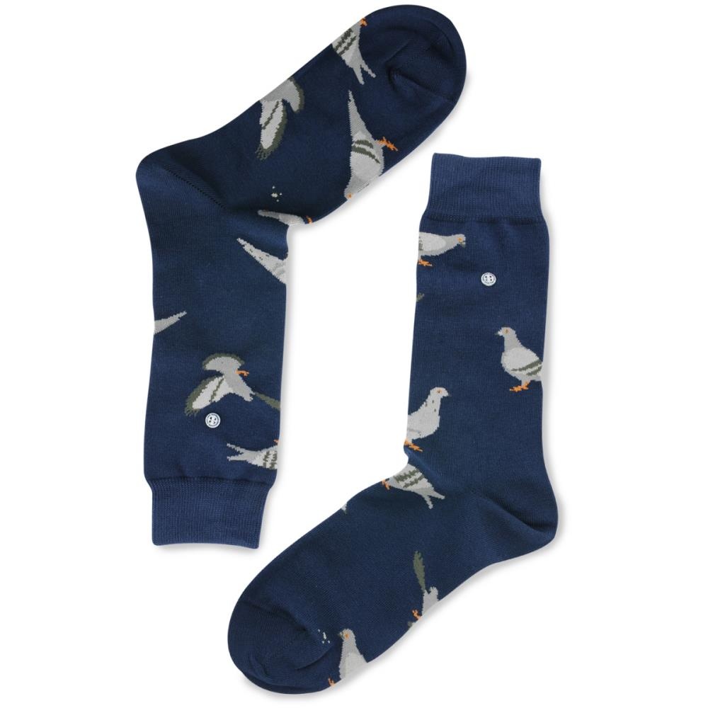 socks Pigeons - 1