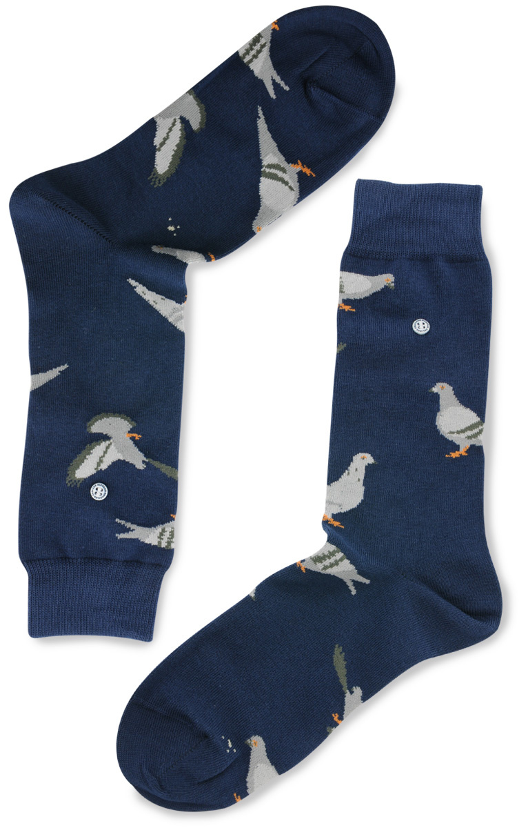 socks Pigeons - 1