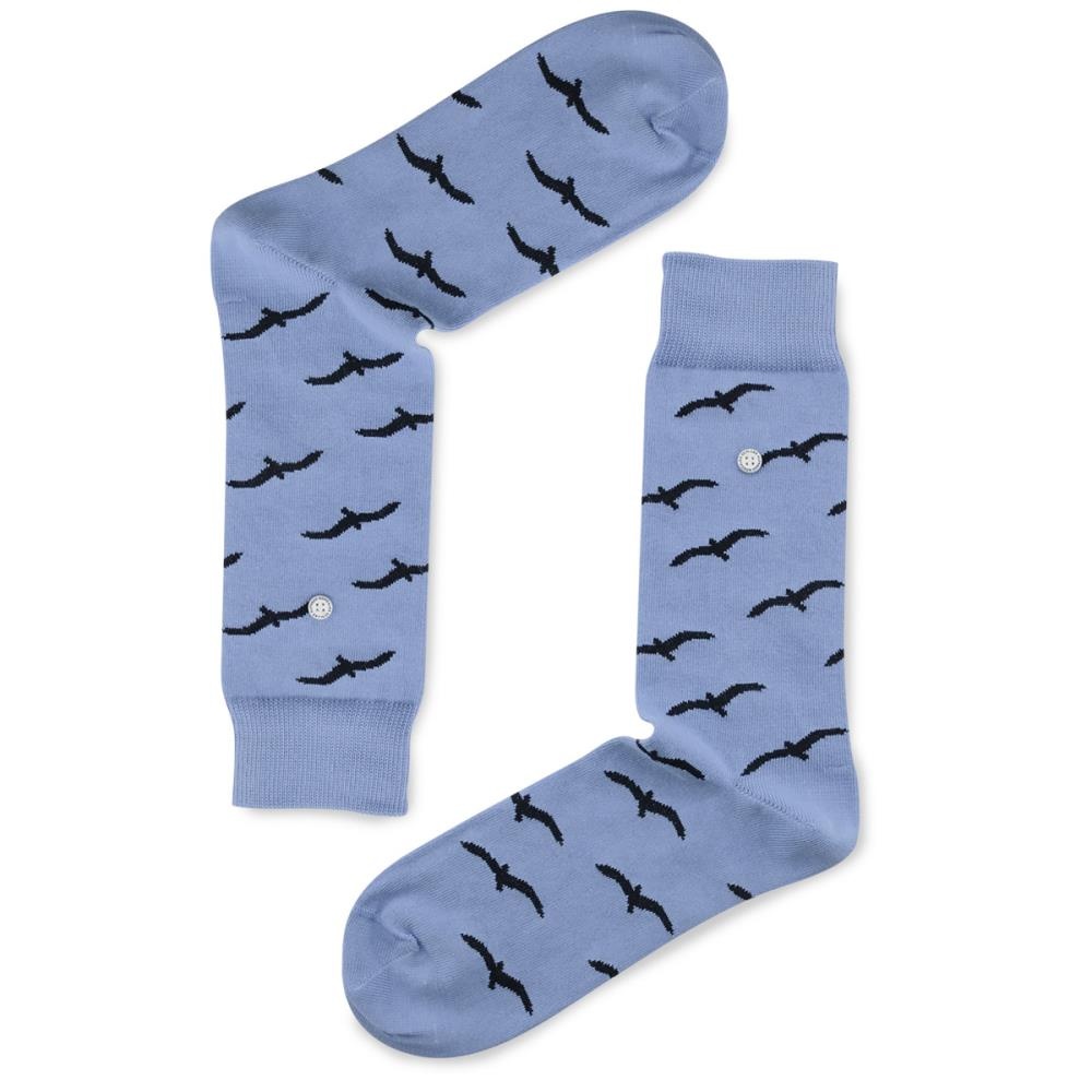 socks The Birds - 1